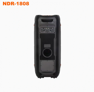 КОЛОНКА NDR-1808